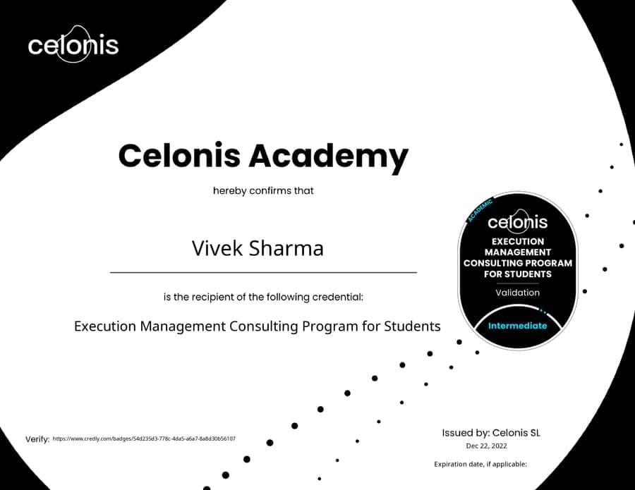 Execution Management Consulting Program
